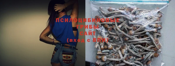 спиды Армянск