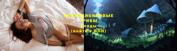 PSILOCYBIN Аркадак
