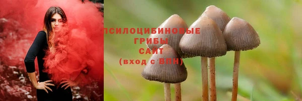 спиды Армянск