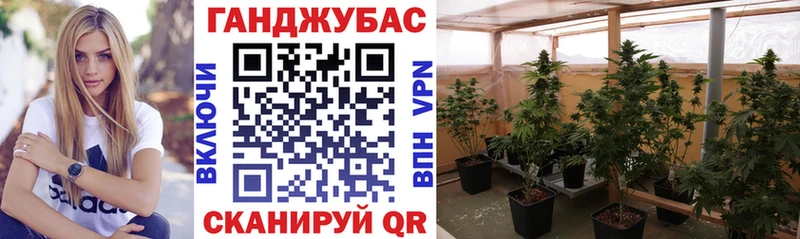 Каннабис White Widow  Нея 